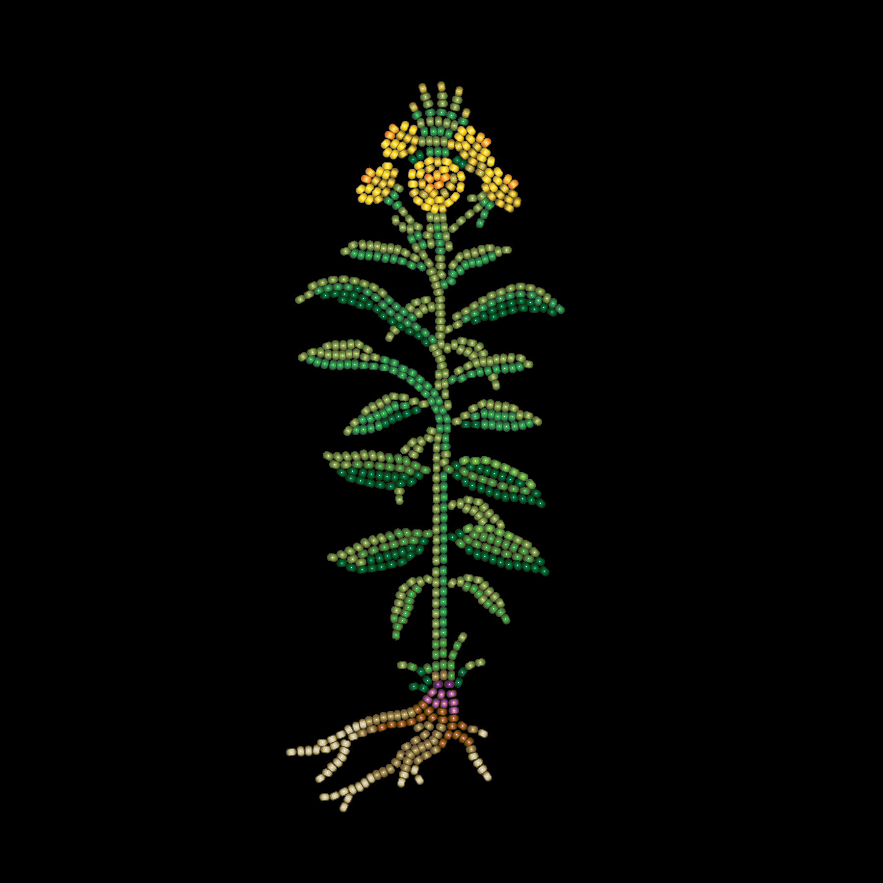 Beaded interpretation of Evening Primrose